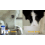 Dog Joint Health Supplement 7