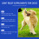 Dog Joint Health Supplement 3