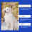 Dog Joint Health Supplement 4