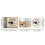 Hair Edge Styling Gel, Broken Lanugo Coconut Holding 8