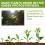 Plant-Specific Nutrient Supplement Hydroponic Strong Root 14
