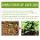 Plant-Specific Nutrient Supplement Hydroponic Strong Root 10