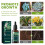Plant-Specific Nutrient Supplement Hydroponic Strong Root 15