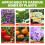 Plant-Specific Nutrient Supplement Hydroponic Strong Root 3