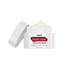 Nude Moisturizing Concealer: Light, Oil-Control, Long-Wear