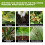 Plant-Specific Nutrient Supplement Hydroponic Strong Root 4