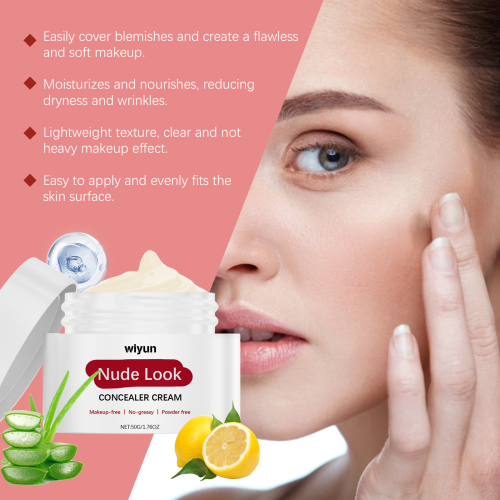 Nude Moisturizing Concealer: Light, Oil-Control, Long-Wear 2