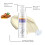 Argan Oil Volumizing Hair Smoothing Set 15
