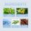 Herrenduft: Charm Natural Fresh, langanhaltend für Dates 10