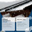 Leak Repair Coating for Roof, Wall, Asphalt 3