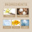 Moisturizing Tinted Lip Balm Case: Bright, Long-Lasting Color 5