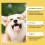 Pet Herbal Yeast Supplement: Soothe External Skin 4