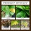 Horticulture Soil Nutrient Activation Powder 16