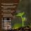 Horticulture Soil Nutrient Activation Powder 12