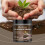 Horticulture Soil Nutrient Activation Powder 2