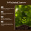 Horticulture Soil Nutrient Activation Powder 3