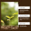 Horticulture Soil Nutrient Activation Powder 11