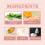 Natural Lightweight Moisturizing Brightening Oil Control Concealer 13