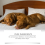 Pamper Dog Sleep Drops for Nighttime Sleep Care 4