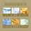 Ginseng Peelingmaske - Feuchtigkeitspendend & Straffend 5