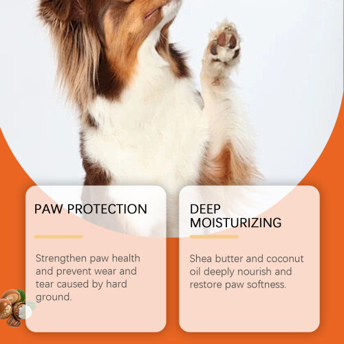 Pflegende Pfotencreme für Hunde 2
