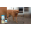Pet Immune-Boosting Drops for Dogs & Cats 8
