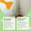 Wall Repair Kit: Fix Holes, Cracks & Peeling 4