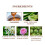 Self Tanning Mousse, Wheat-Colored Skin Moisturizing Toning Spray 9