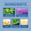 Dental Stickers Stain Removal Fresh Teeth 5