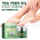Tea Tree Fußcreme: Repariert Risse & pflegt die Haut 2