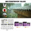 Waterproof Multi-Purpose Seal for Roof/Toilet/Wall/Floor Seams 3