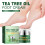 Tea Tree Fußcreme: Repariert Risse & pflegt die Haut 8