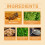 Bienenwachs-Körperstraffungspflaster 5