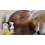 Pan Bottom & Cooktop Oil Dirt Remover 7
