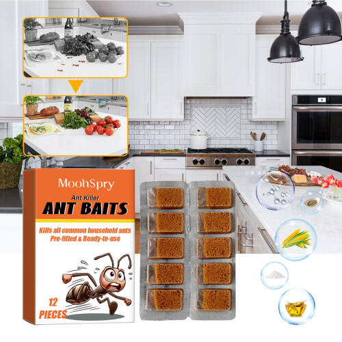 Ant Attractant Powder for Household Insects 1