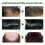 Ingwer-Shampoo & -Conditioner für kräftige Wurzeln 11