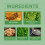 Bienengift-Formstab für Kurven, Bauch & Arme 5