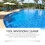 Swimming Pool Water Clarifier 3