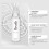 Cologne Roll-On Duft Frisch Charm 11