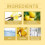 Herrenduft-Geschenkset: Langanhaltender, frischer Duft 5
