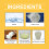 Cleaners, Tile Crevices Refrigerator Seals Sink Cleaning 5