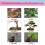 Premium 3-1-2 Flüssigdünger-Spray für Bonsai 11