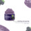Blackberry Sugar Body Scrub, Exfoliating Hydrating 10