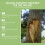 Tree Wound Healing Cream Fruit Tree Grafting 13