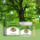 Tree Wound Healing Cream Fruit Tree Grafting 9