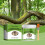 Tree Wound Healing Cream Fruit Tree Grafting 2