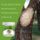 Tree Wound Healing Cream Fruit Tree Grafting 4