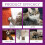 Pet Cat Anti-Scratching Spray with Mild Ingredients 15