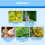 Tinnitus Relief Solution for Ear and Back Discomfort 5
