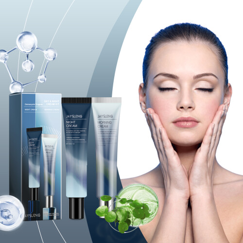 Day & Night Cream 2-Set with Shield & Repairing 1